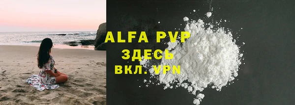 PSILOCYBIN Верхний Тагил