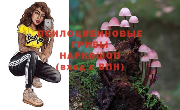 ешки Волоколамск