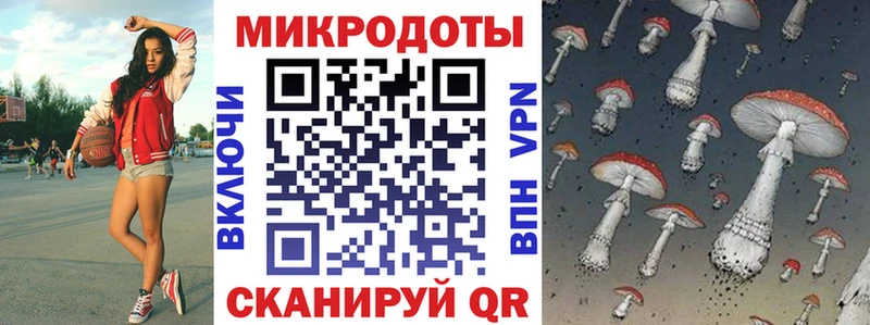 Галлюциногенные грибы Psilocybe  Гаврилов-Ям 