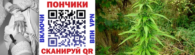наркота Гаврилов-Ям Конопля марихуана